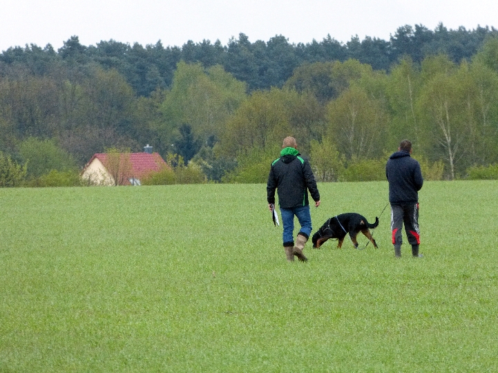 Pr�fung 2014 Fr�hjahr