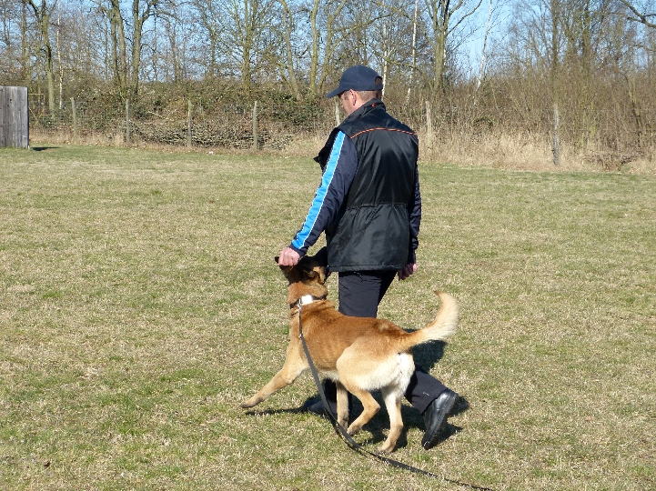 heiko2