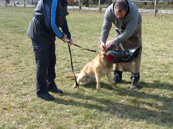 heiko4